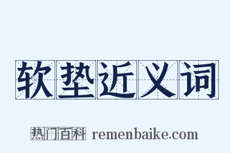 软垫近义词是什么意思的图片